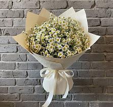 Букет цветов из:  Ромашки в Саргатском