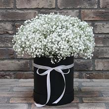 Цветочная композиция из Гипсофила в шляпной коробке в Саргатском
