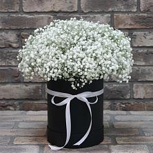 Цветочная композиция из Гипсофила в шляпной коробке в Саргатском