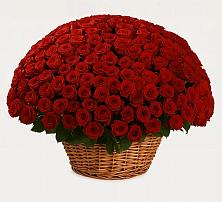 Премиум букет из: Розы в Саргатском