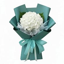 Букет цветов из:  Гортензия в Саргатском